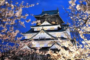 Osaka - Z letalom na poti
